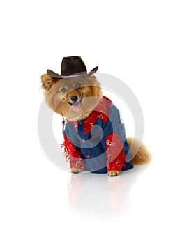 Cowboy without a horse