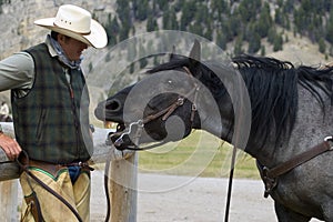 Cowboy/Horse Conversation photo