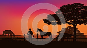 Cowboy rancher and grazing horse herd at sunset vector silhouette outline photo