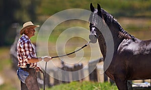 Cowboy, horse and reins on farm in nature and equestrian park in western ranch in country. Strong, stallion or healthy