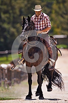 Cowboy, horse and riding on ranch, equestrian and saddle ride on animal. Stallion, gallop or trot in countryside and