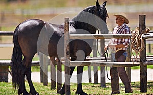 Cowboy, horse and together on farm in nature, pride and bonding on western ranch in country. Strong, stallion or healthy