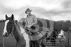 Cowboy on horseback, horse riding with chequered shirt with other horses, a gate, field and stone cottage in background