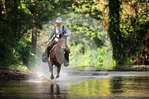 Cowboy on horseback On the river.