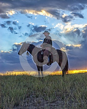 Cowboy on horseback,silhouette