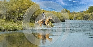 Cowboy lasso in river photo art