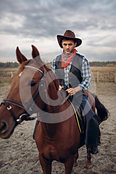 Cowboy in leather clothes riding a horse on farm