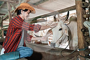 cowboy man smiles wearing cowboy hat while stroking cow head