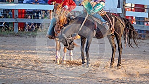 Cowboy Rides Bucking Horse