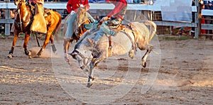 Cowboy Rides Bucking Horse