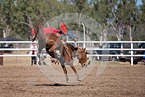 Bareback Bucking Bronc Riding At Country Rodeo