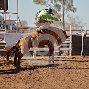 Cowboy Riding A Bucking Horse