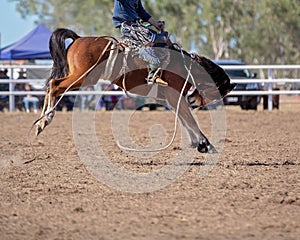 Bareback Bucking Bronc riding At Country Rodeo