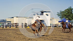 Cowboy Riding A Bucking Bronc Horse
