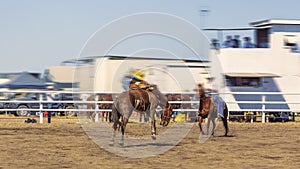 Cowboy Riding A Bucking Bronc Horse