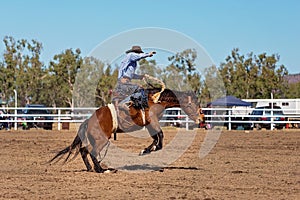 Cowboy Riding A Bucking Bronc Horse At A Country Rodeo