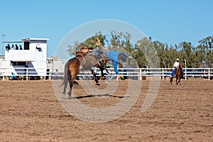 Cowboy Riding A Bucking Bronc Horse At A Country Rodeo