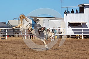 Cowboy Riding A Bucking Bronc Horse At A Country Rodeo