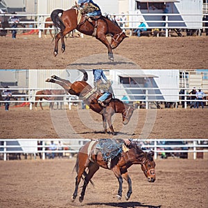 Cowboy Riding Bucking Bronco Collage