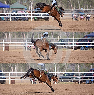 Cowboy Riding Bucking Bronco Collage