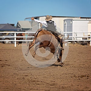 Cowboy Riding A Bucking Bull At A Country Rodeo