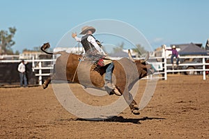 Cowboy Riding Bucking Bull At Country Rodeo