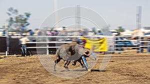 A Cowboy Riding A Bucking Bull At Rodeo