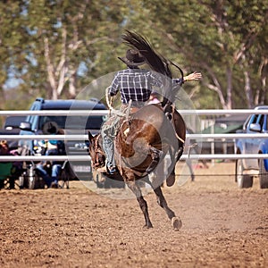 Cowboy Riding Bucking Horse