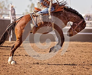 Cowboy Riding Bucking Horse