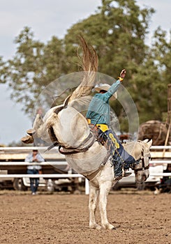 Saddle Bronc Riding At An australian Country Rodeo