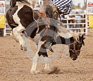 Saddle Bronc Riding At An Australian Country Rodeo