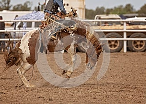 Saddle Bronc Riding At An Australian Country Rodeo