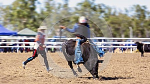 Cowboy Riding Bull At Rodeo