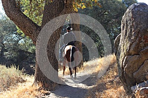 A cowboy riding on his horse in a canyon.