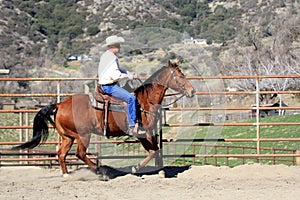 A cowboy riding his horse.