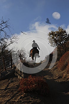 A cowboy riding his horse up a hill.