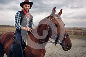 Cowboy riding a horse in desert valley, western