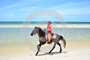 Cowboy is riding Horse walk on the beach and blue sky background. V