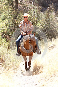 A cowboy riding in a meadow with trees up a mountain.