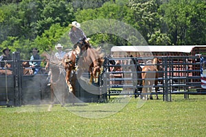 Open Range Rode Saddle Bronc Riding