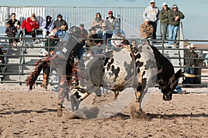 Cowboy Rodeo Bull Riding