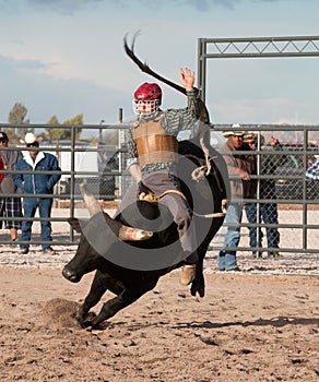 Cowboy Rodeo Bull Riding