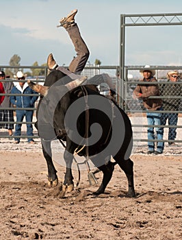 Cowboy Rodeo Bull Riding