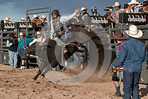 Cowboy Rodeo Bull Riding