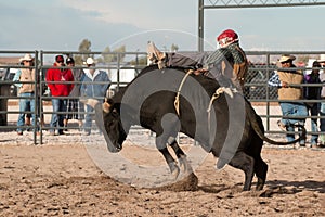 Cowboy Rodeo Bull Riding