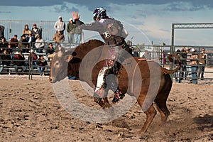 Cowboy Rodeo Bull Riding