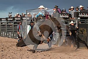 Cowboy Rodeo Bull Riding