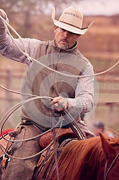 Cowboy roping calves on a cattle ranch