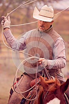 Cowboy roping calves on a cattle ranch