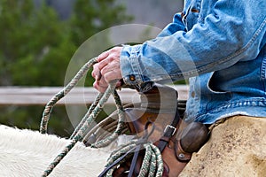 A cowboy's hands